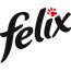 FELIX